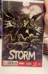 Storm #5 (2015)  