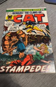 The Cat #4 (1973)stampede higher grade