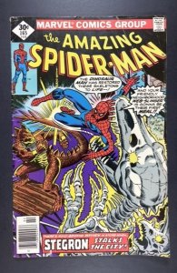 The Amazing Spider-Man #165 (1977)