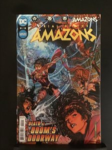 Trial of the Amazons #2 (2022)