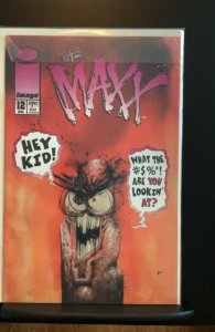 The Maxx #12 (1994)