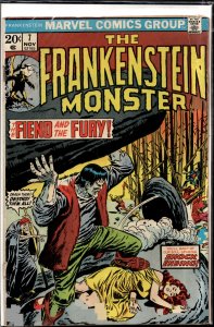 The Frankenstein Monster #7 (1973) Frankenstein Monster