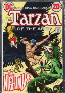 Edgar Rice Burroughs' Tarzan #214 (1972)