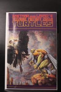 Teenage Mutant Ninja Turtles #36 (1991)