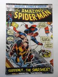 The Amazing Spider-Man #116 (1973) FN/VF Condition!