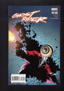 Ghost Rider #30 - RICHARD CORBEN COVER ART 1:15 VARIANT! (9.2) 2009