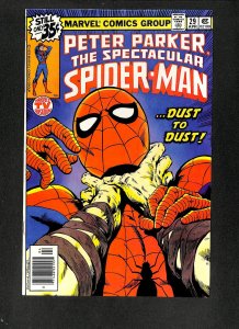 Spectacular Spider-Man #29