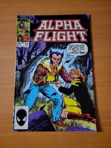 Alpha Flight #13 ~ DOLLAR BIN ~ 1984 Marvel Comics