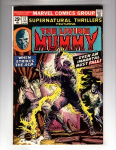 Supernatural Thrillers #11 (1975)   / MC#100