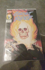 Ghost Rider #18 Direct Edition (1991)