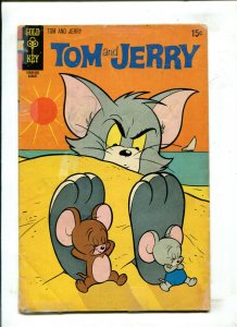 TOM AND JERRY #252 (2.0) 1970