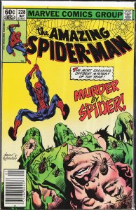 The Amazing Spider-Man #228 (1982) Spider-Man