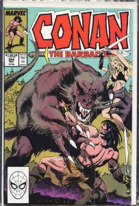 Conan the Barbarian #224 (1989) Conan