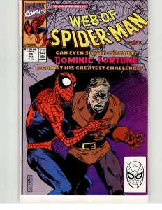 Web of Spider-Man #71 (1990) Spider-Man