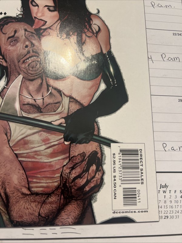 Rose & Thorn # 4 DC 2004 Adam Hughes Cover VF/ NM