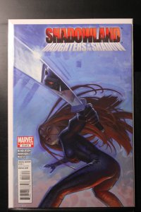 Shadowland: Daughters of the Shadow #3 (2011)