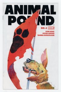 Animal Pound #4 Boom! Studios Tom King Matias Bergara Variant NM