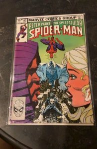 The Spectacular Spider-Man #82 (1983)