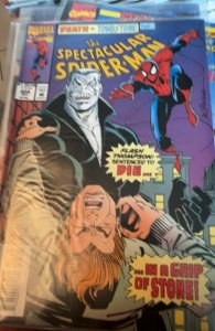 The Spectacular Spider-Man #205 Direct Edition (1993) Spider-Man 