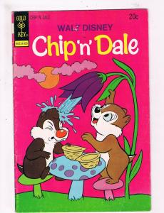 Walt Disney's Chip N' Dale #23 FN 1st Print Gold Key 1973 Comic Book DE1