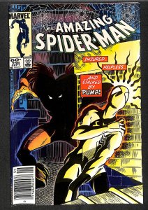 The Amazing Spider-Man #256 (1984)
