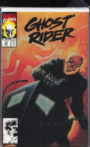 Ghost Rider #13 (1991) Ghost Rider