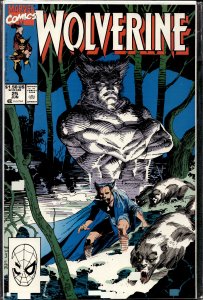 Wolverine #25 (1990) Wolverine