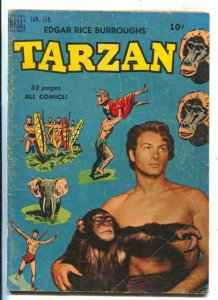 Tarzan #13 1950- Edgar Rice Burroughs- Lex Barker photo cover- Jesse Marsh ar...