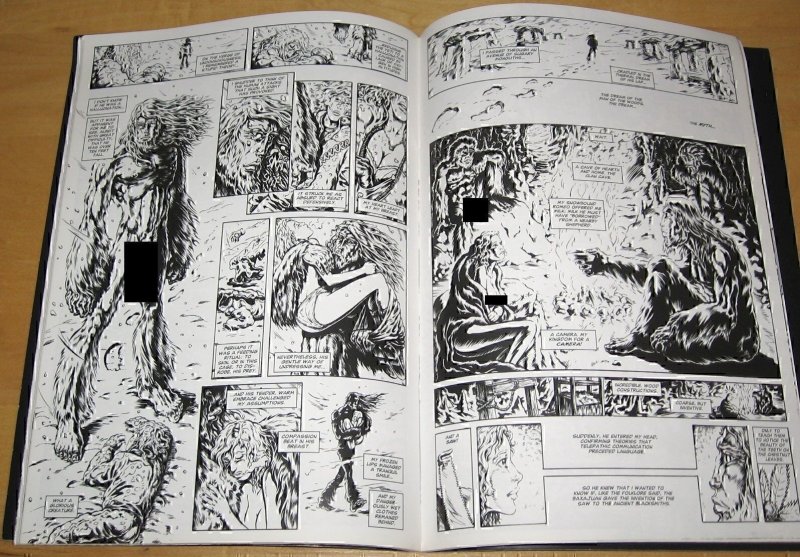 Bundle of Raulo Caceres comics; Elizabeth Bathory (7 issues) and Morbid Tales.