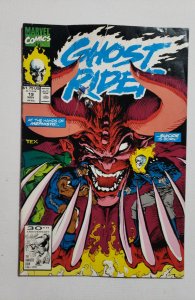 Ghost Rider #19 Direct Edition (1991) reader grade