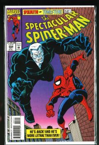 The Spectacular Spider-Man #204 (1993)