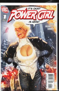 Power Girl #1 Variant Cover (2009) Power Girl