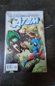 Brightest Day: The Atom Special (2010)