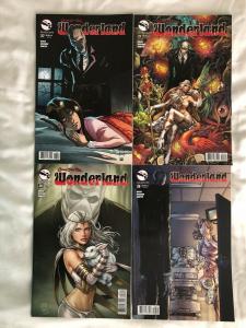 GRIMM FAIRY TALES : WONDERLAND - 34 Issue Comic - #14, 16, 18, 20, 22, 23, more