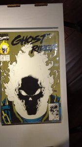 Ghost Rider #15 (1991)