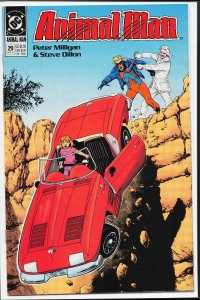 Animal Man #29 (1990) Animal Man