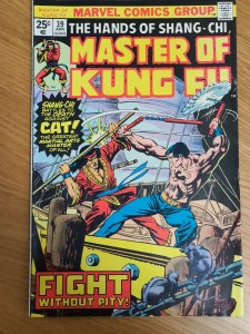 Master of Kung Fu #39 (1976)