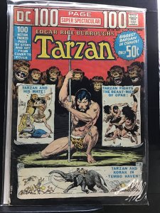 DC 100-Page Super Spectacular #19 (1973)