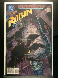 Robin #23 (1995)