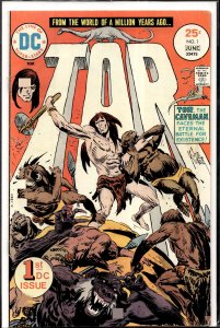 Tor #1 (1975) Tor