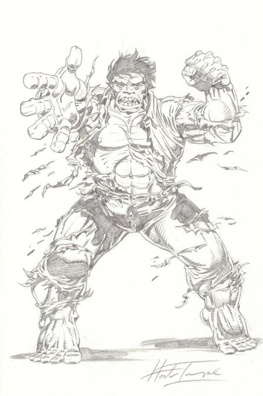 Hulk Full Figure Pencil Art - Signed art by Herb Trimpe