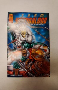 Team Youngblood #20 (1995) NM Image Comic Book J734