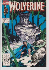 Marvel Comics! Wolverine #25! (1990)