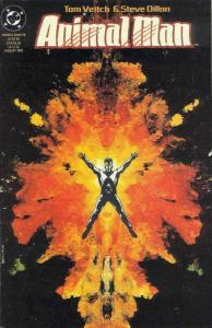 Animal Man #50 FN; DC | save on shipping - details inside