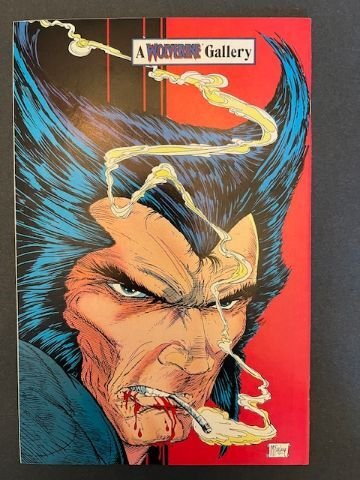 Wolverine #6 Newsstand Edition (1989) - VF/NM