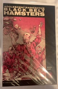 Adolescent Radioactive Black Belt Hamsters #1 (1986)