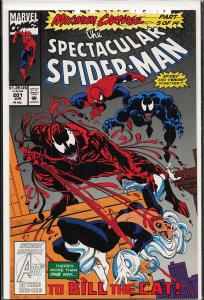 The Spectacular Spider-Man #201 (1993) Spider-Man