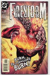 Firestorm #7 (2005) Firestorm
