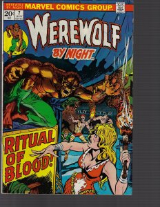 Werewolf by Night #7 (Marvel, 1973) FN+