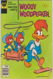 Woody Woodpecker #160